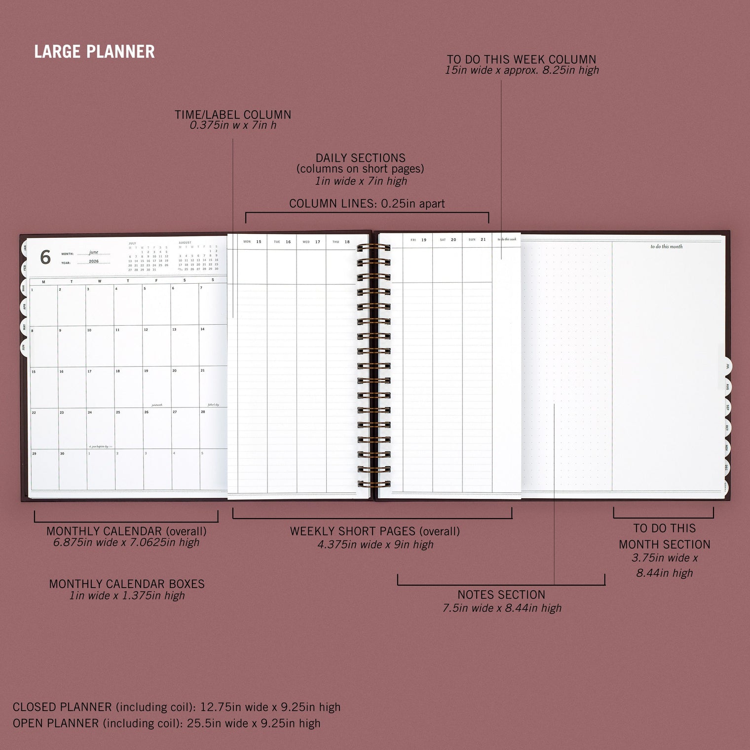 MEASUREMENTS, LARGE