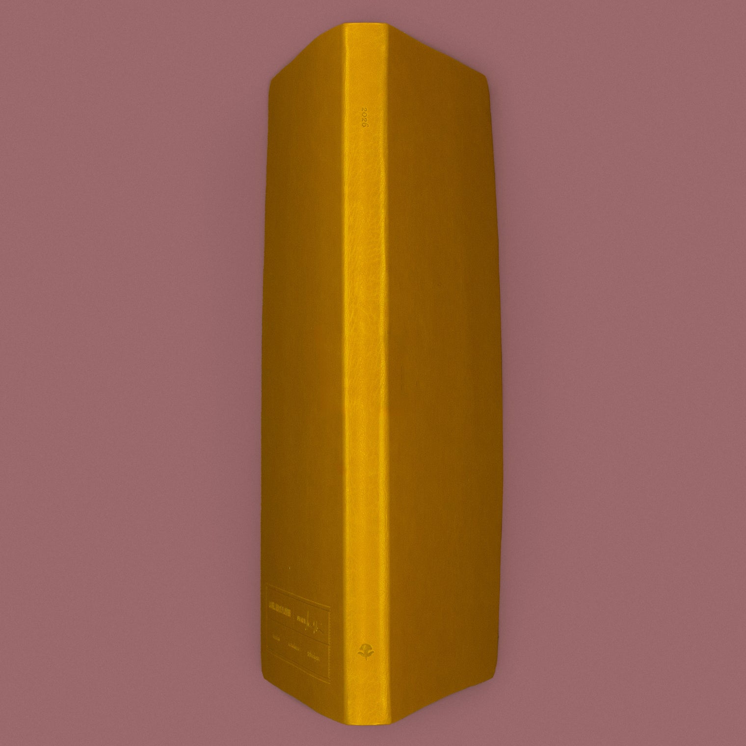 SPINE