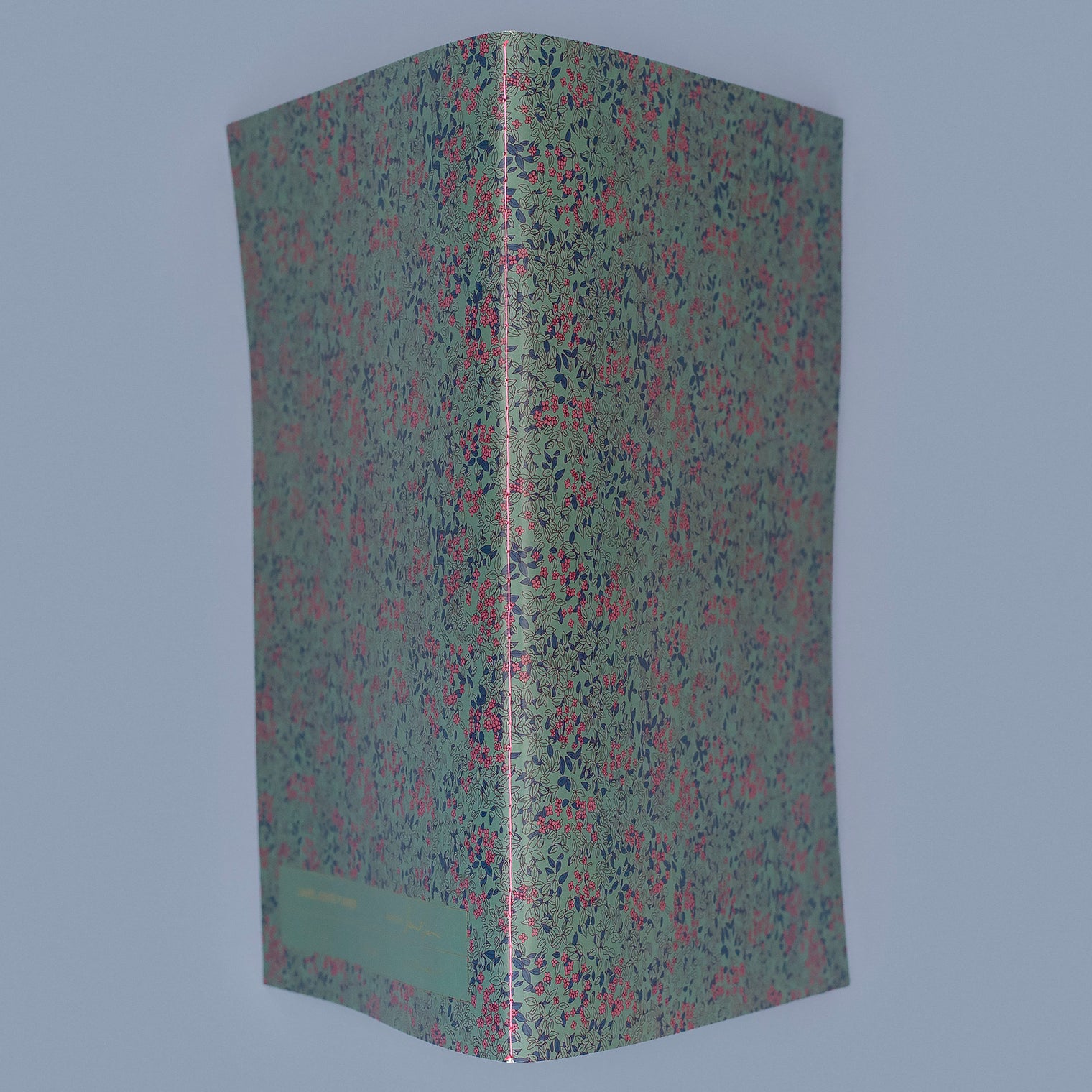 SPINE