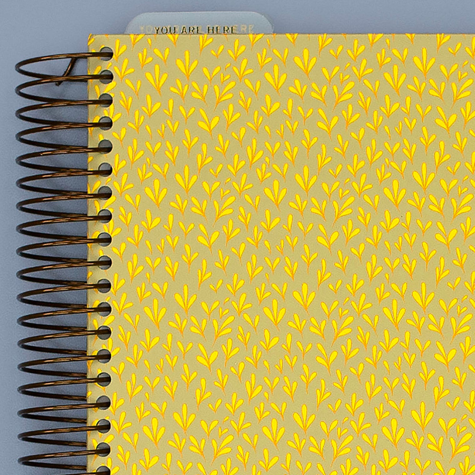 COVER DETAIL