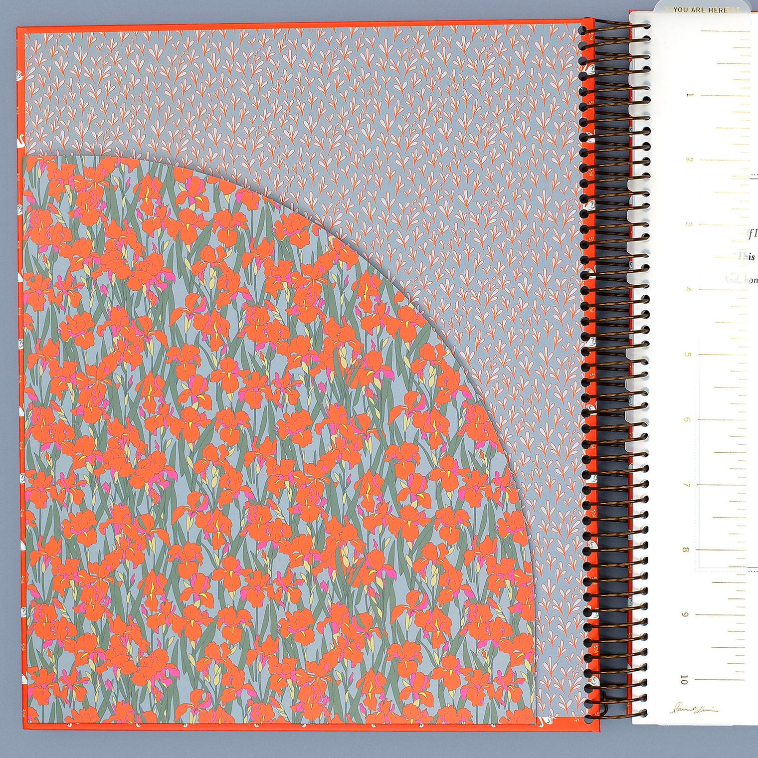 FOLDER