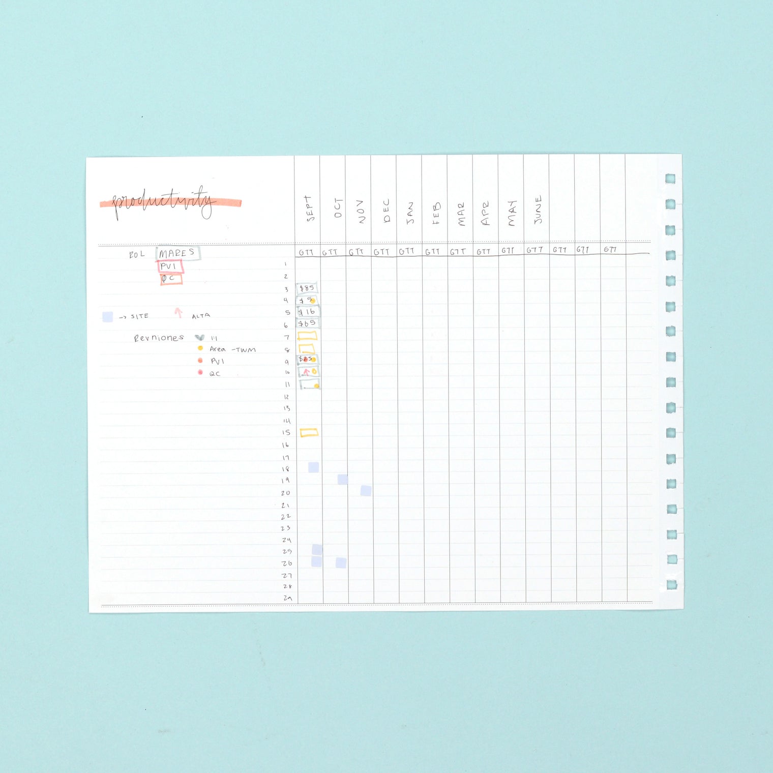 SAMPLE - PRODUCTIVITY 