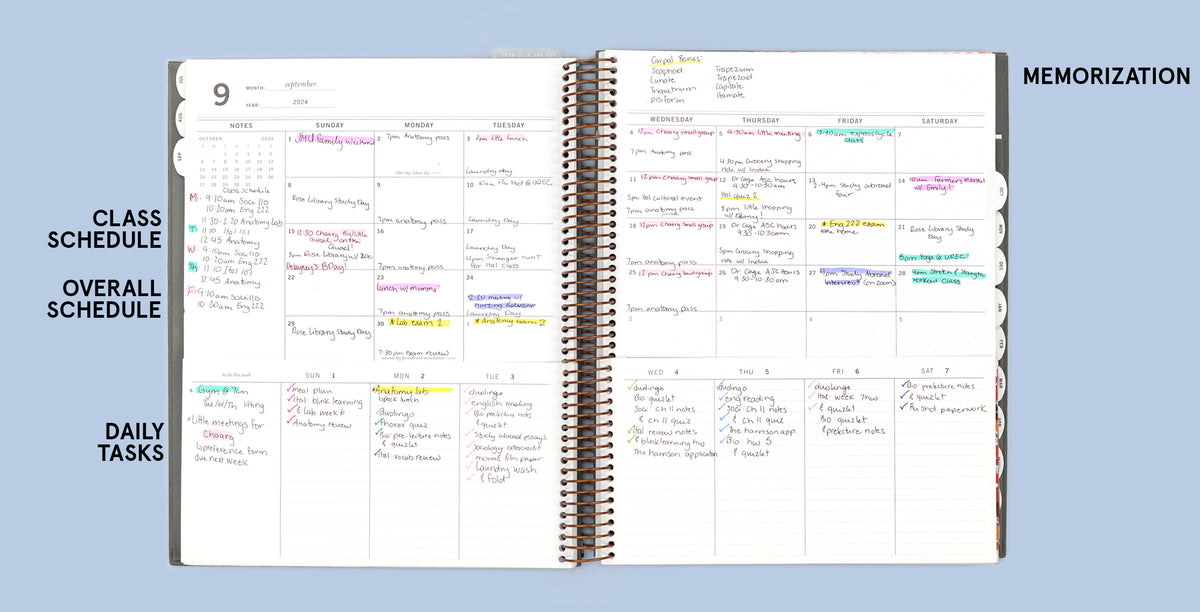 Portrait Planner: Claire
