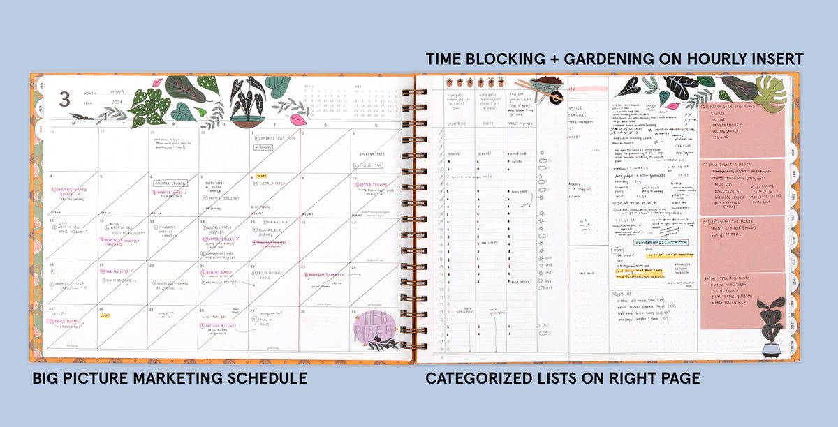 Project Planner: Lolly