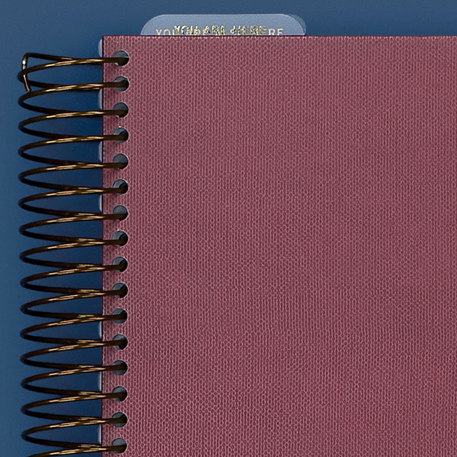 Cover Close-Up