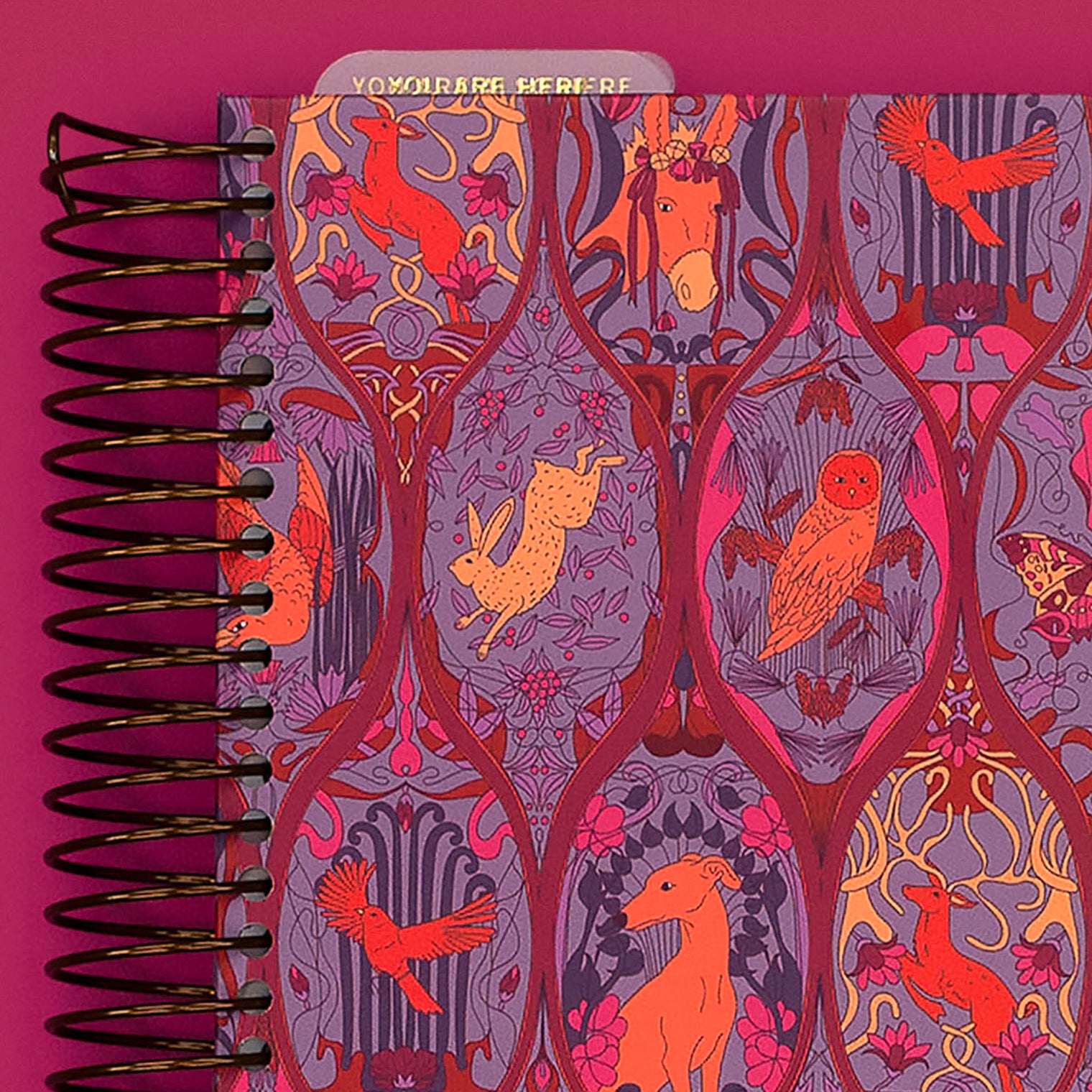 Cover Close-Up