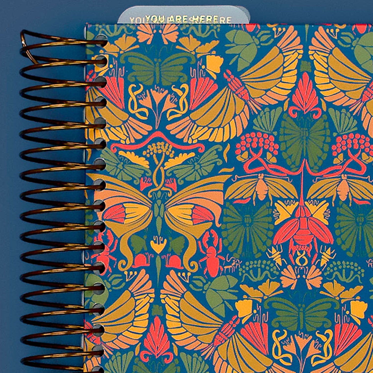Cover Close-Up