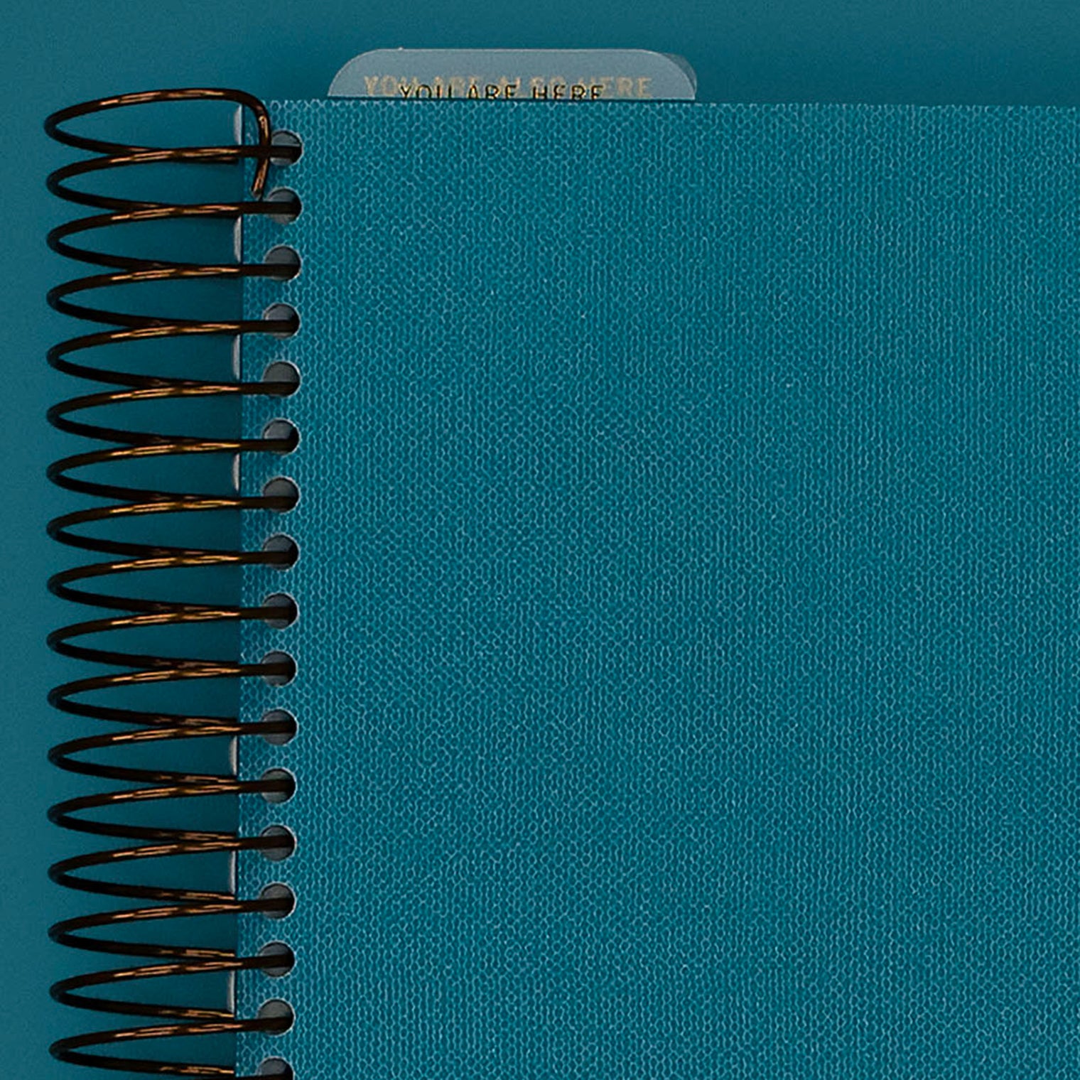 Cover Close-Up