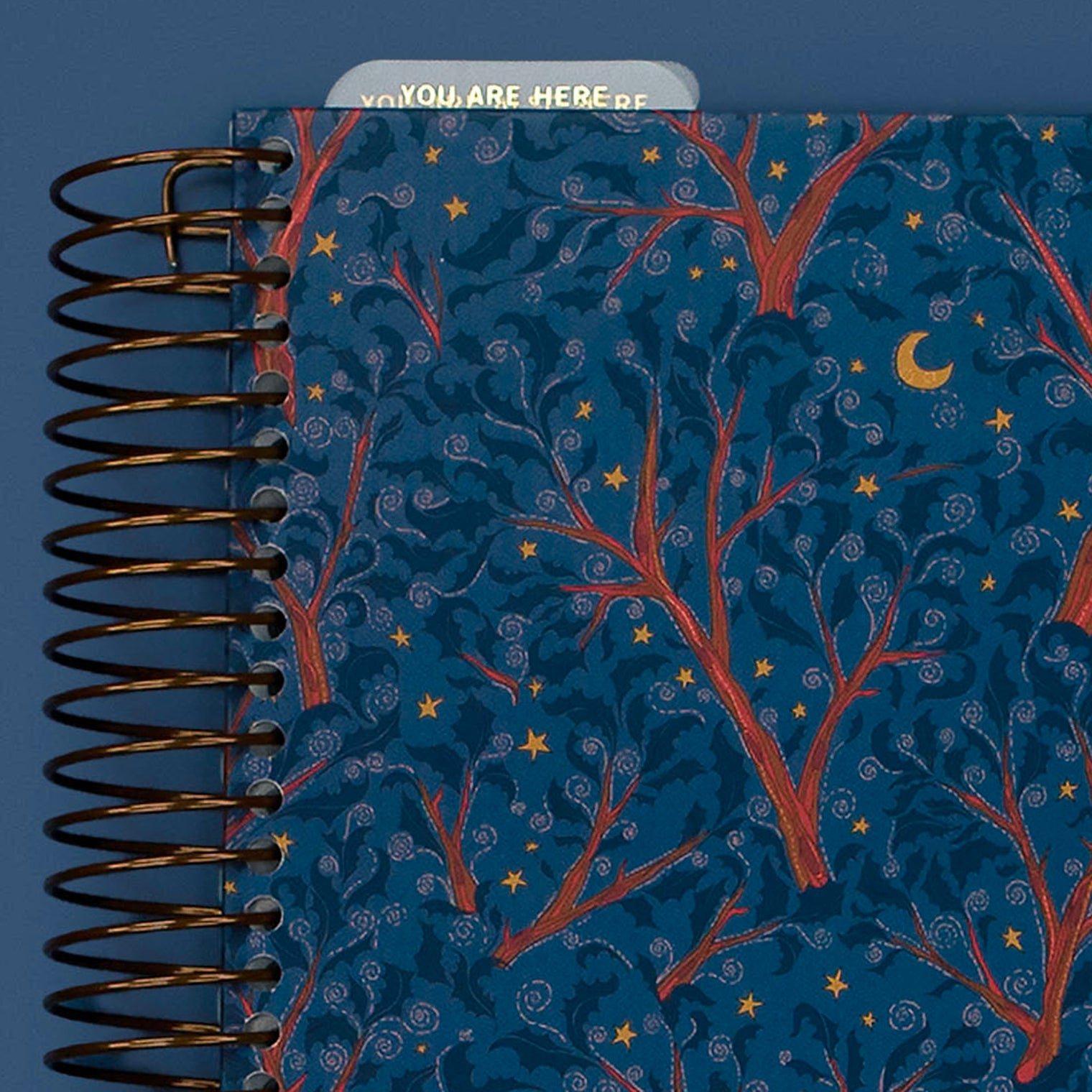 Cover Close-Up