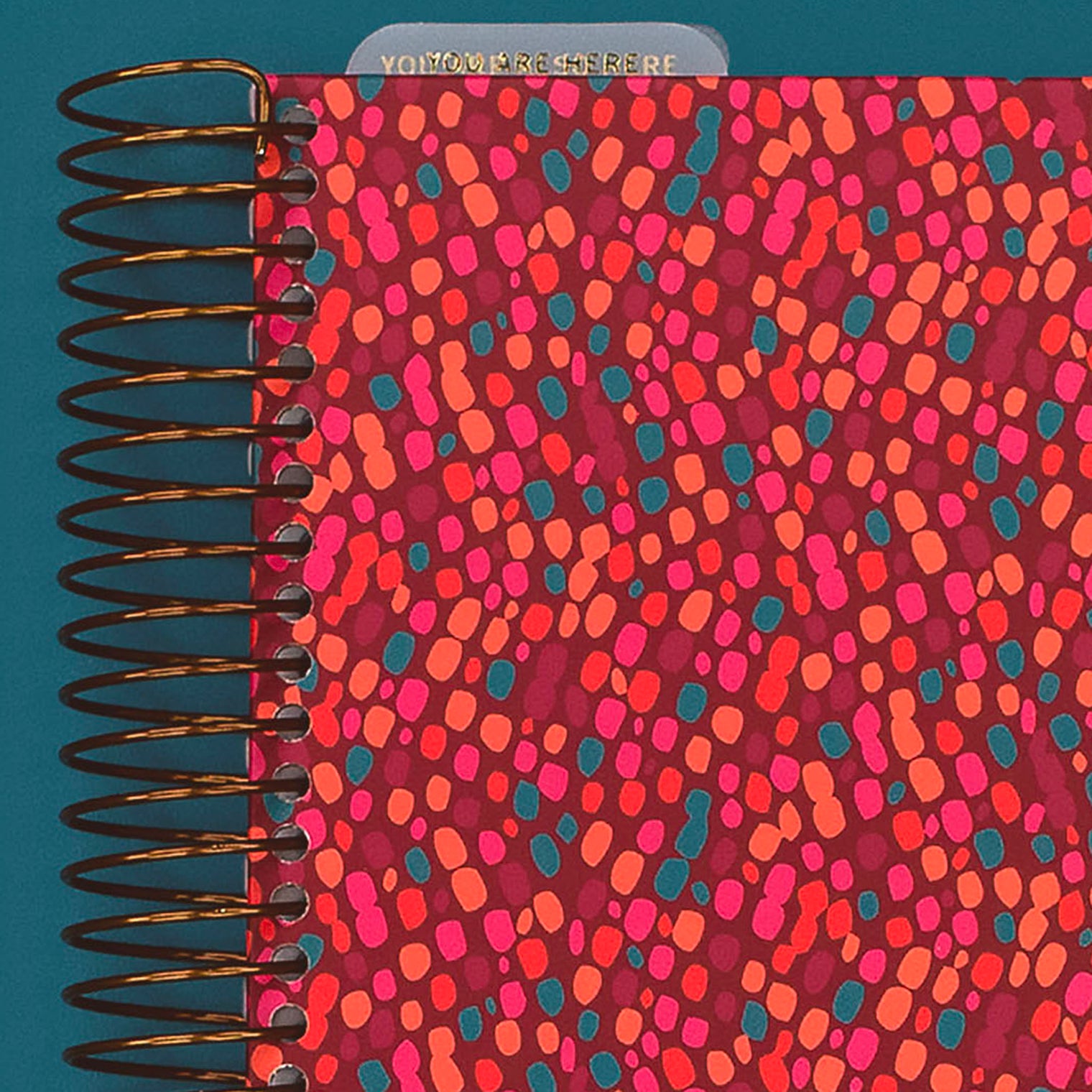Cover Close-Up