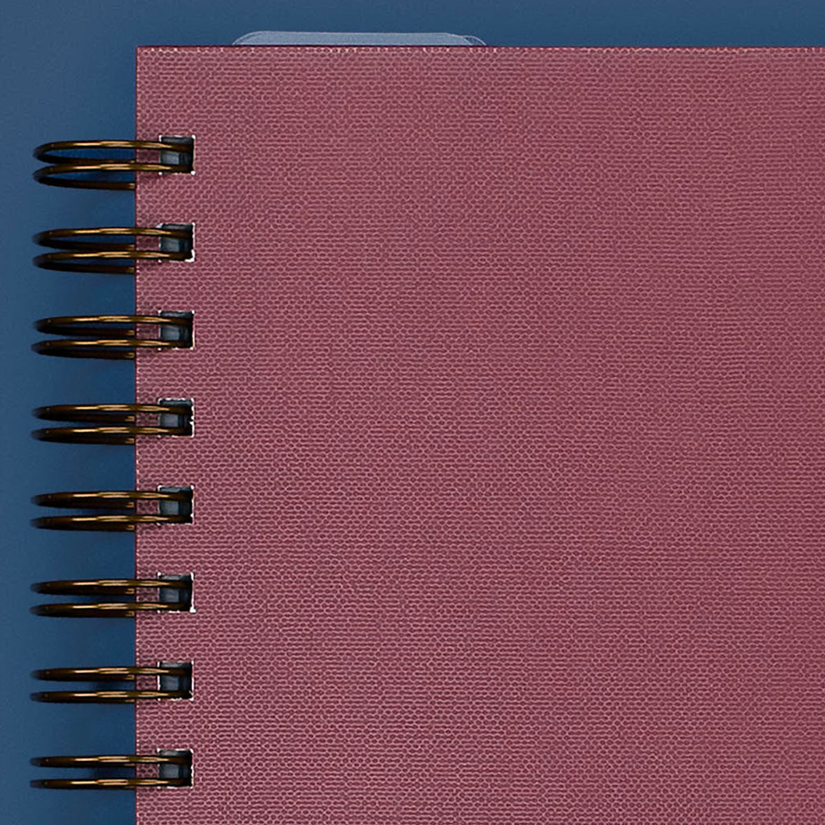 Cover Close-Up