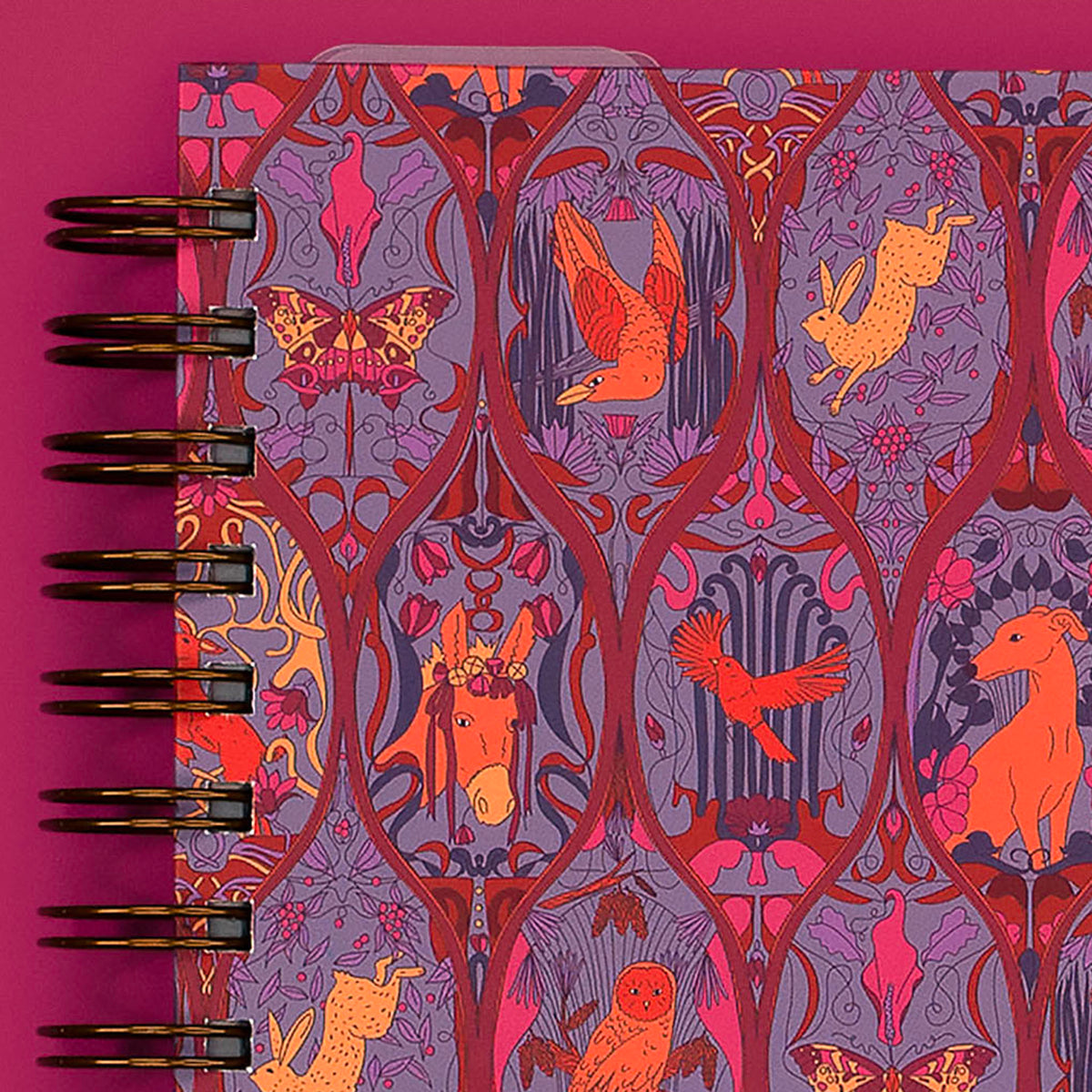 Cover Close-Up
