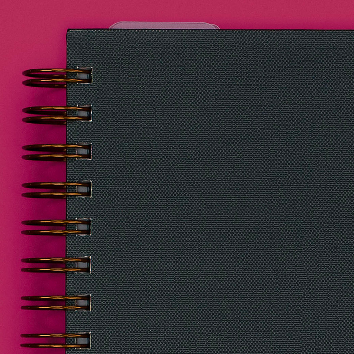 Cover Close-Up