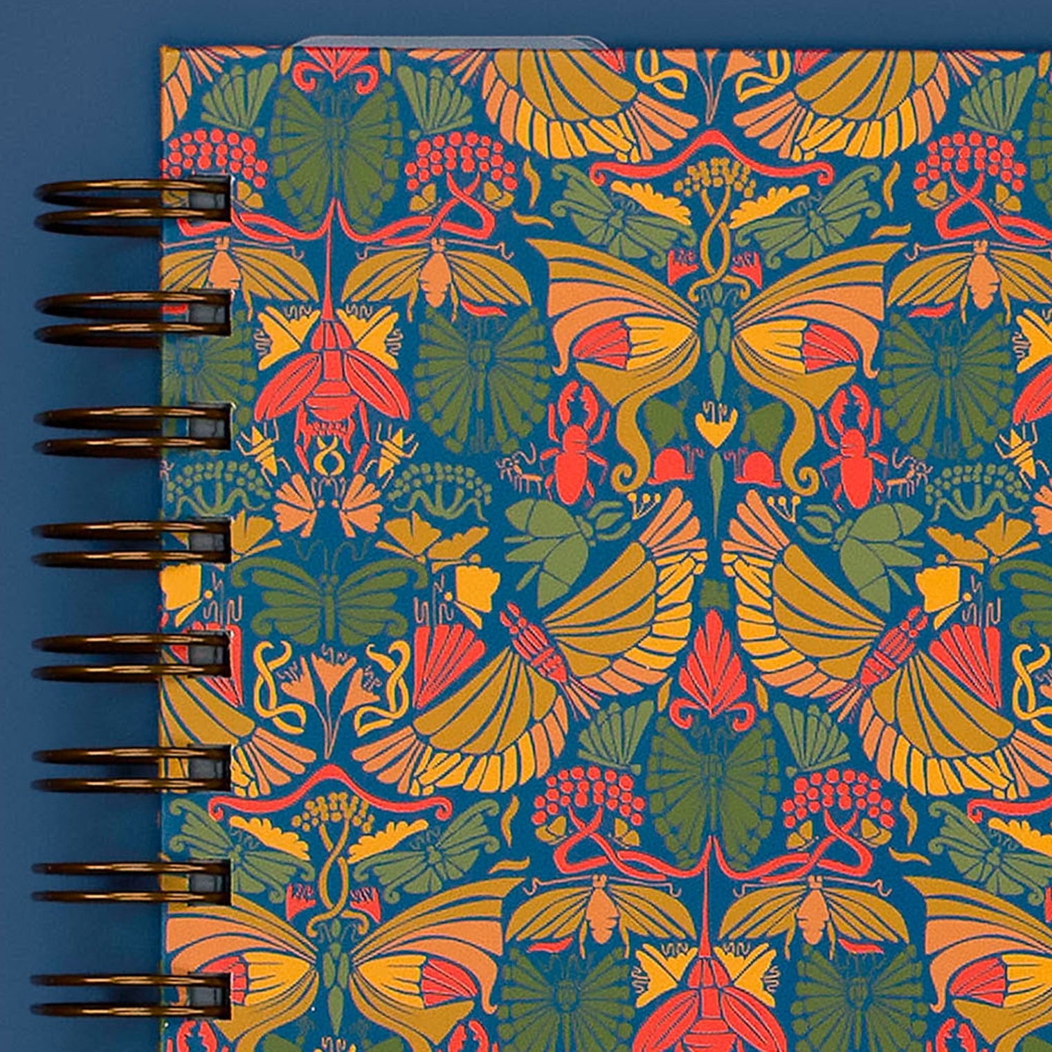 Cover Close-Up