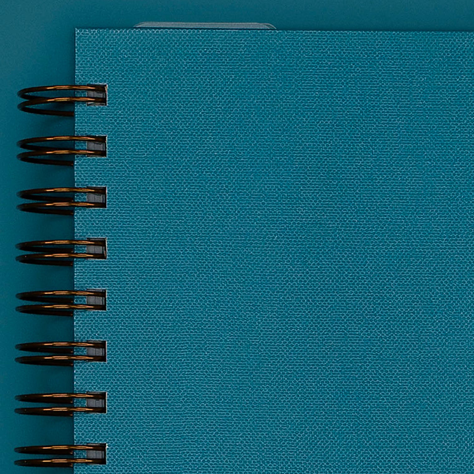 Cover Close-Up