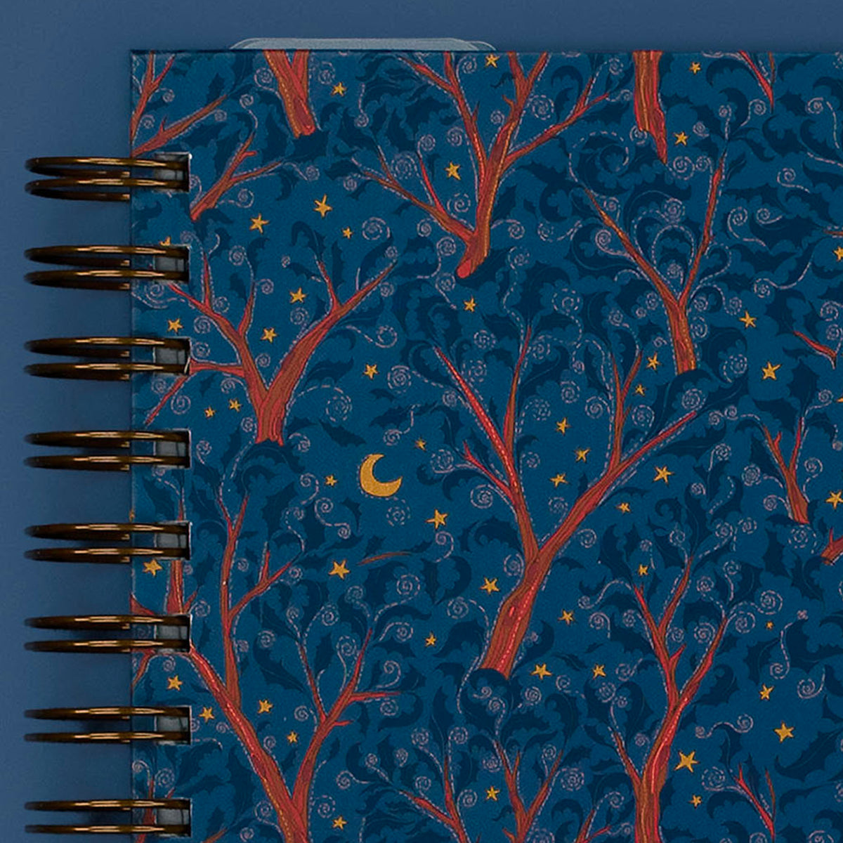 Cover Close-Up