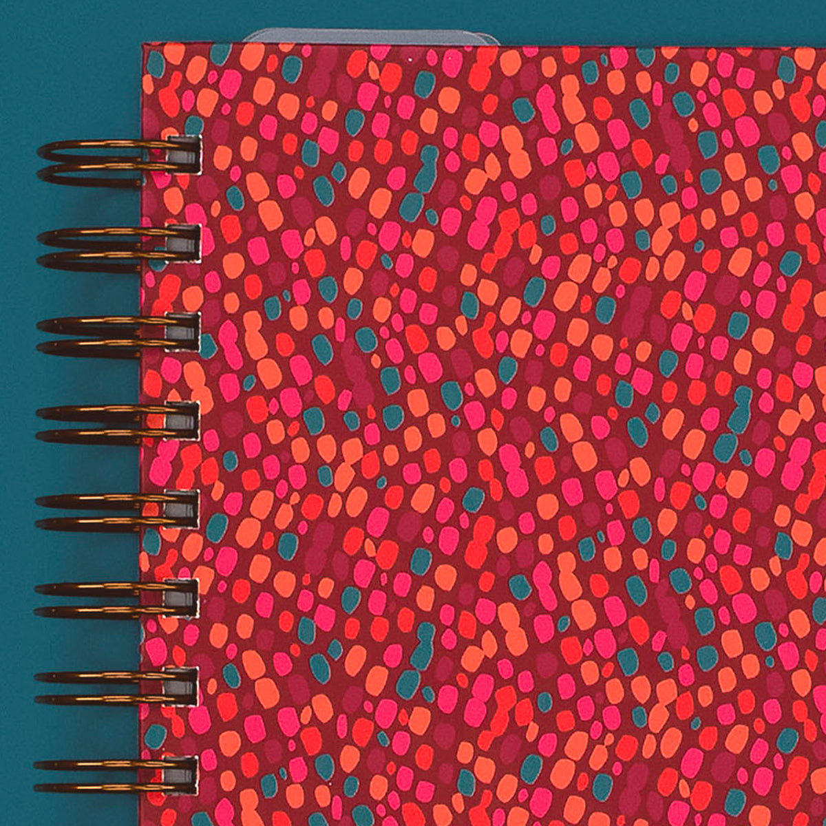 Cover Close-Up