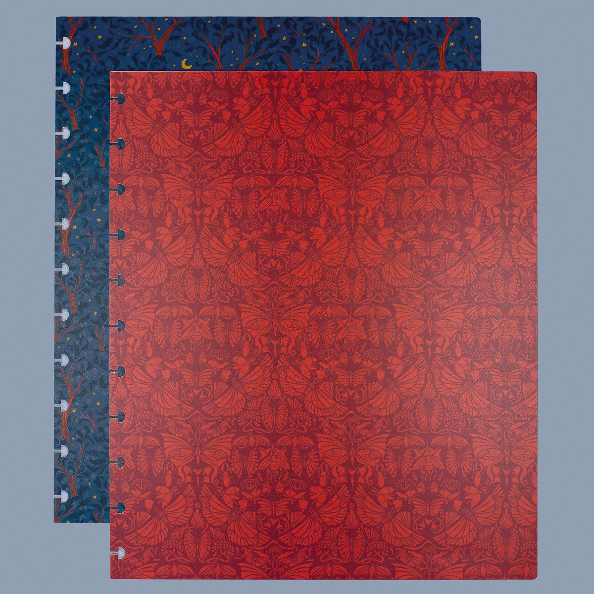 Reverse Side