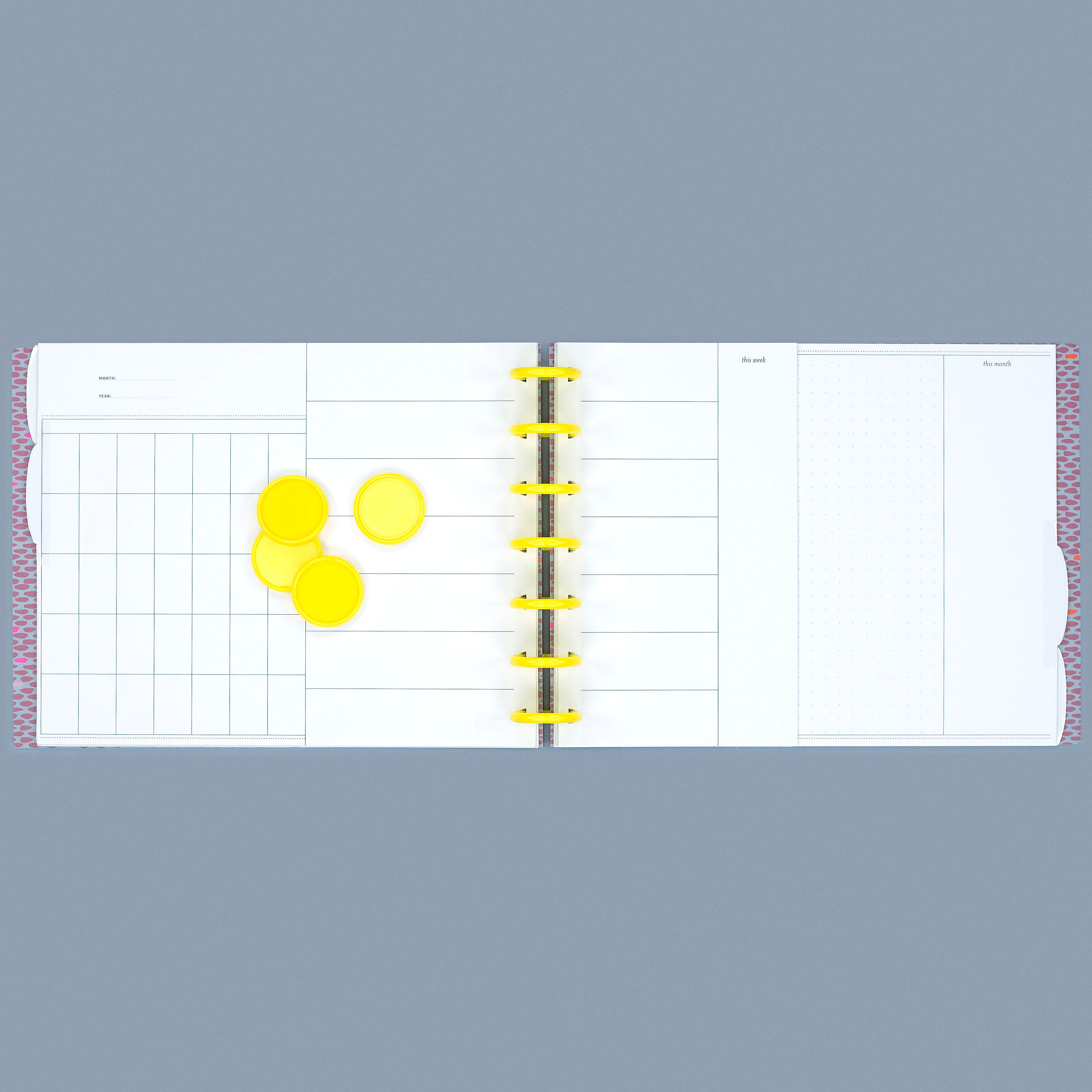 Yellow Discbound Planner Discs | Pack of 11 | Laurel Denise