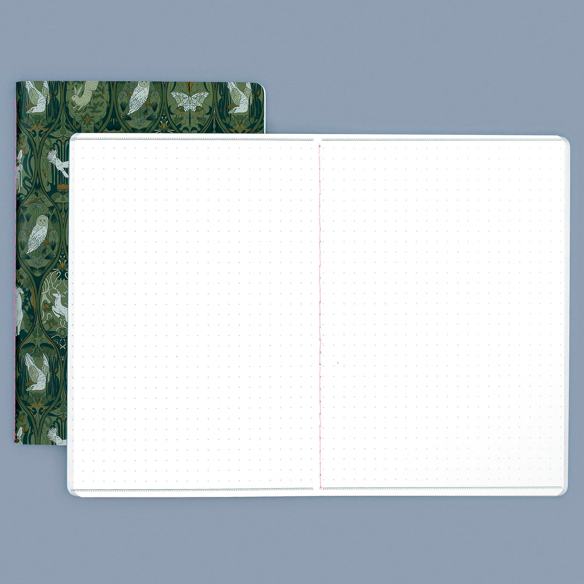 Dot + Grid, Main Image