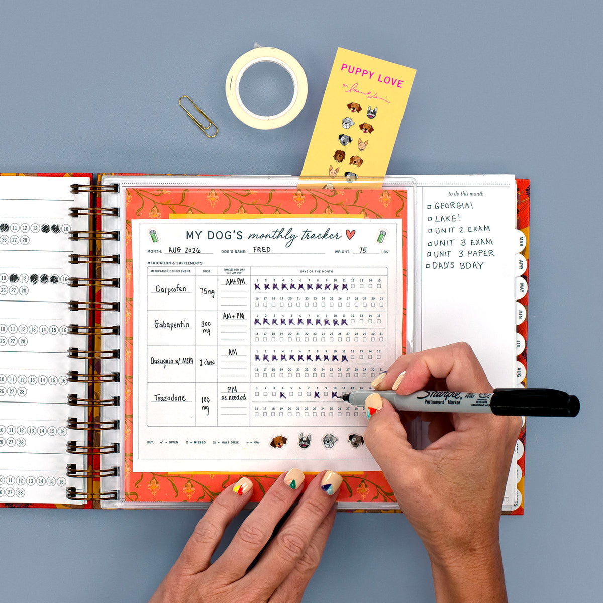 In Small Nancy Planner