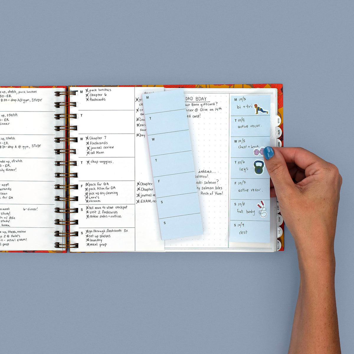 In Nancy, Small Size Planner