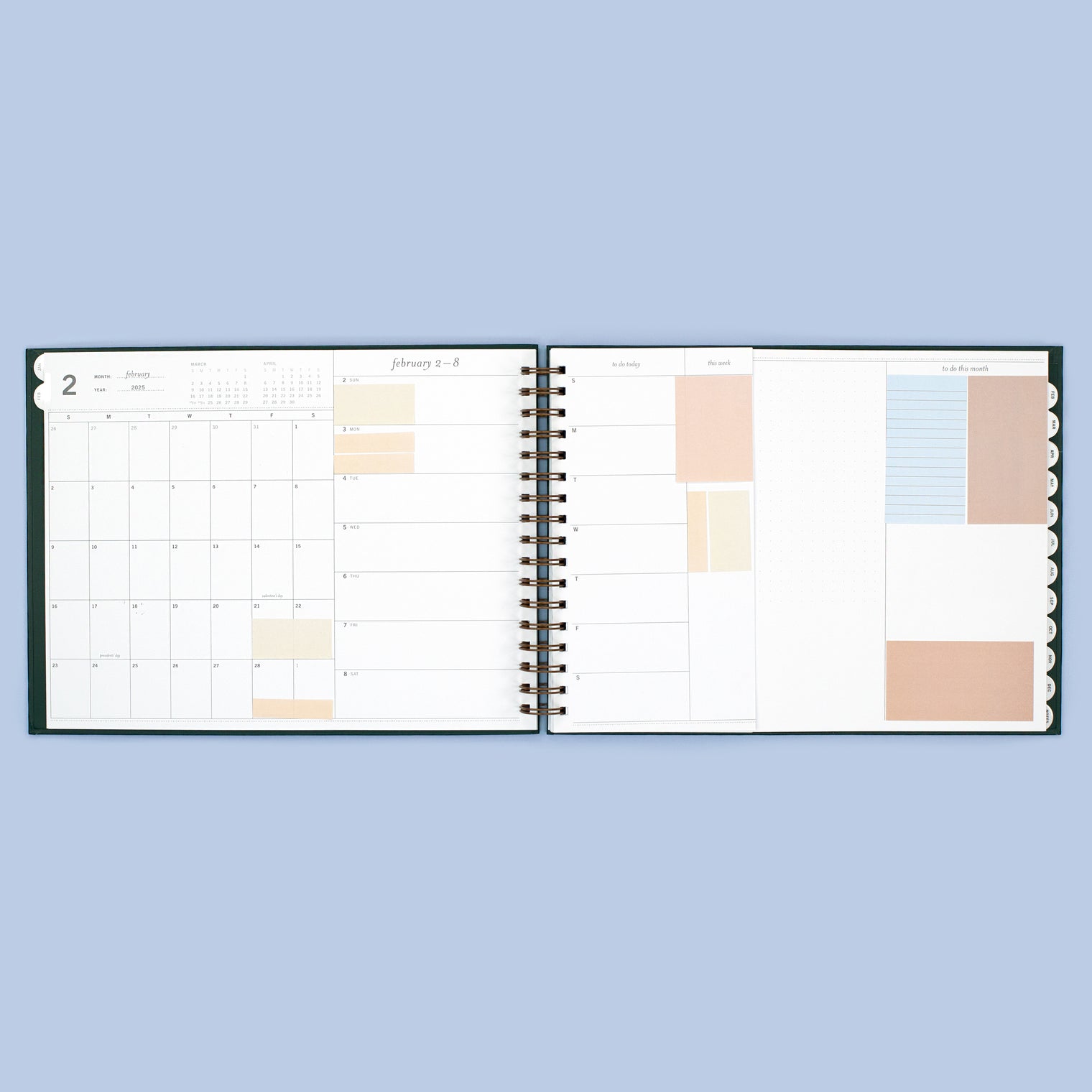 IN STANDARD HORIZONTAL PLANNER