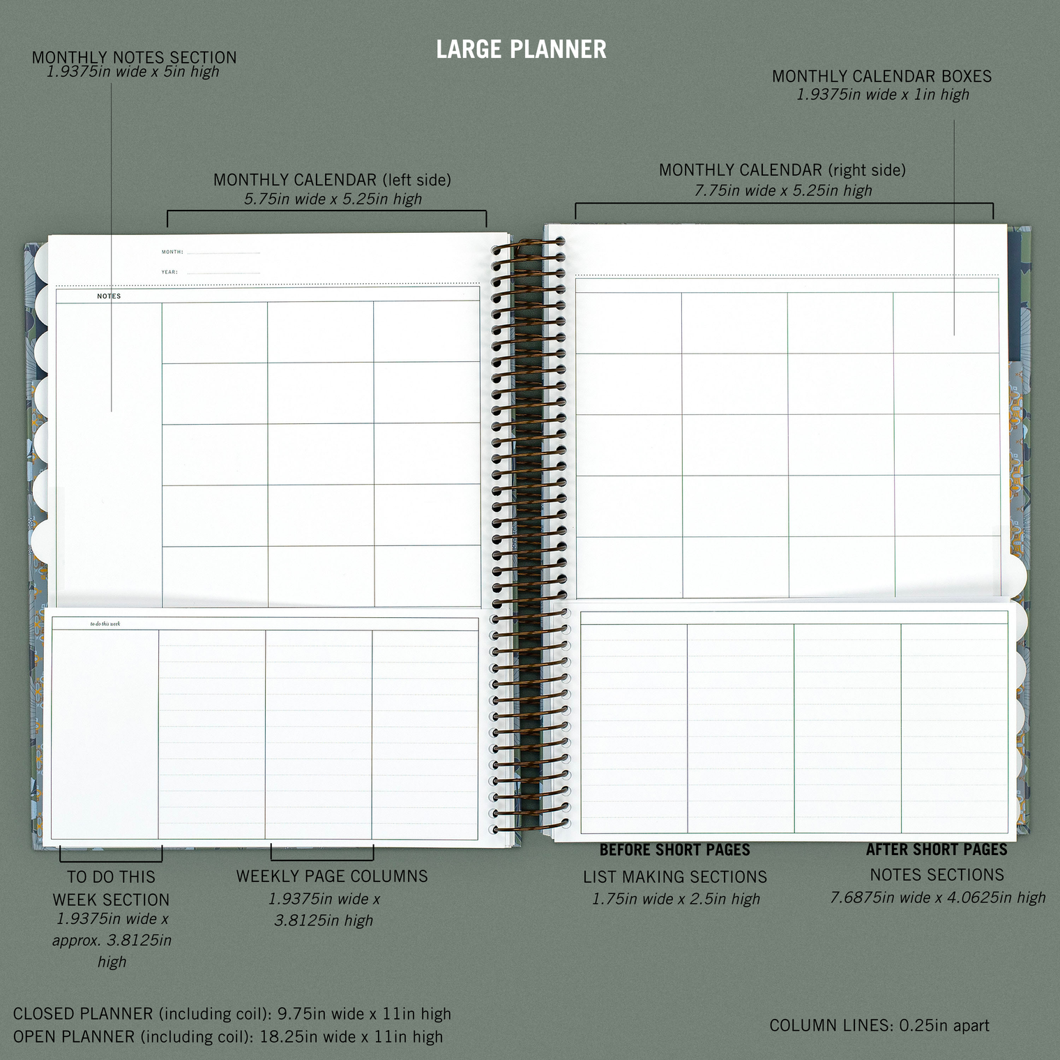 MEASUREMENTS, LARGE