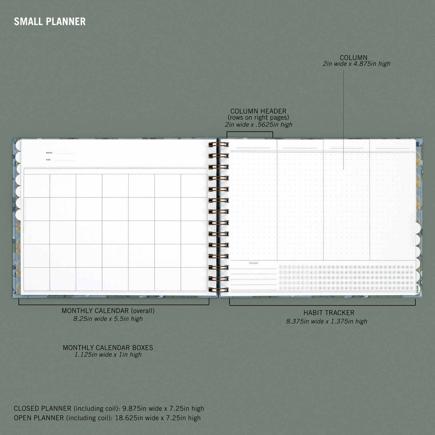 MEASUREMENTS, SMALL