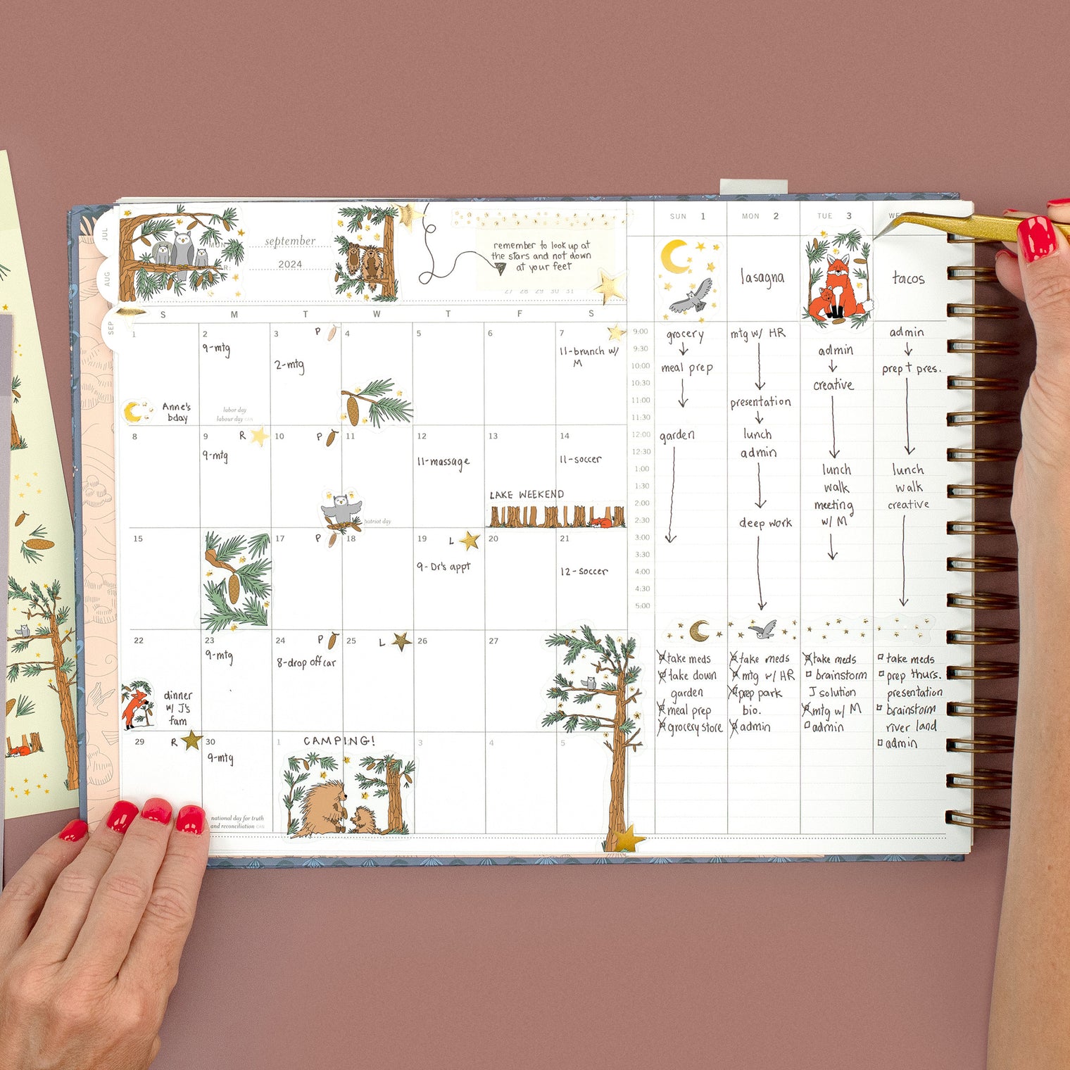 IN PLANNER