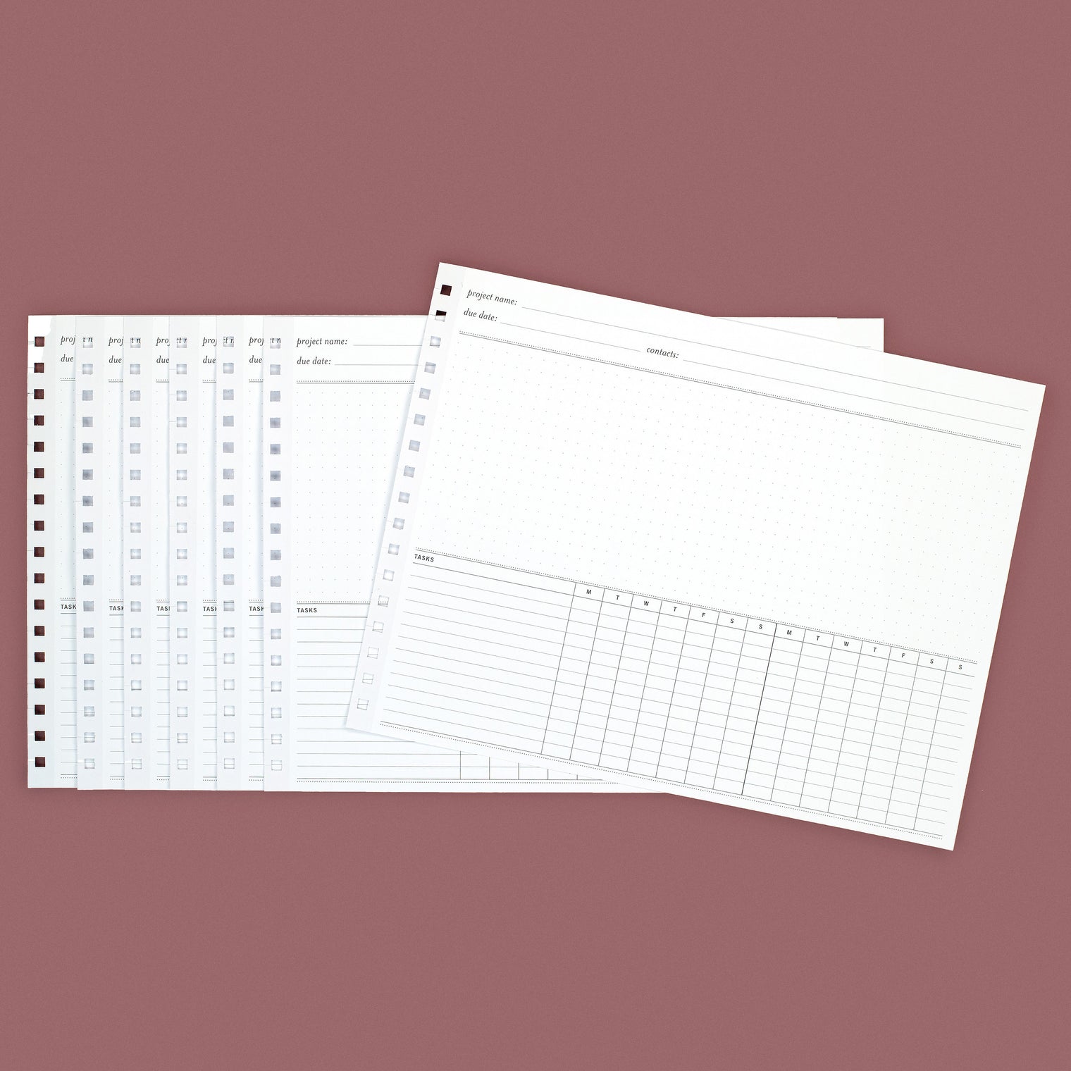 ANNE/NANCY/ROSE/VALERIE/JO, LARGE