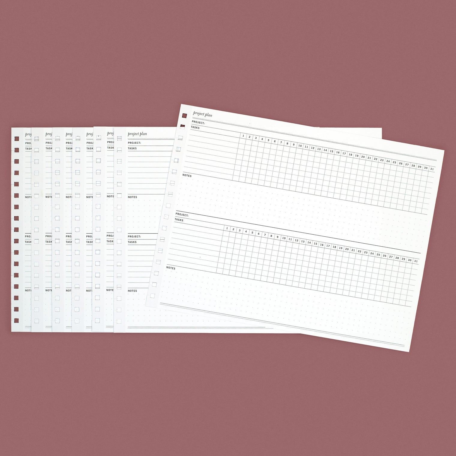 ANNE/NANCY/ROSE/VALERIE/JO, LARGE