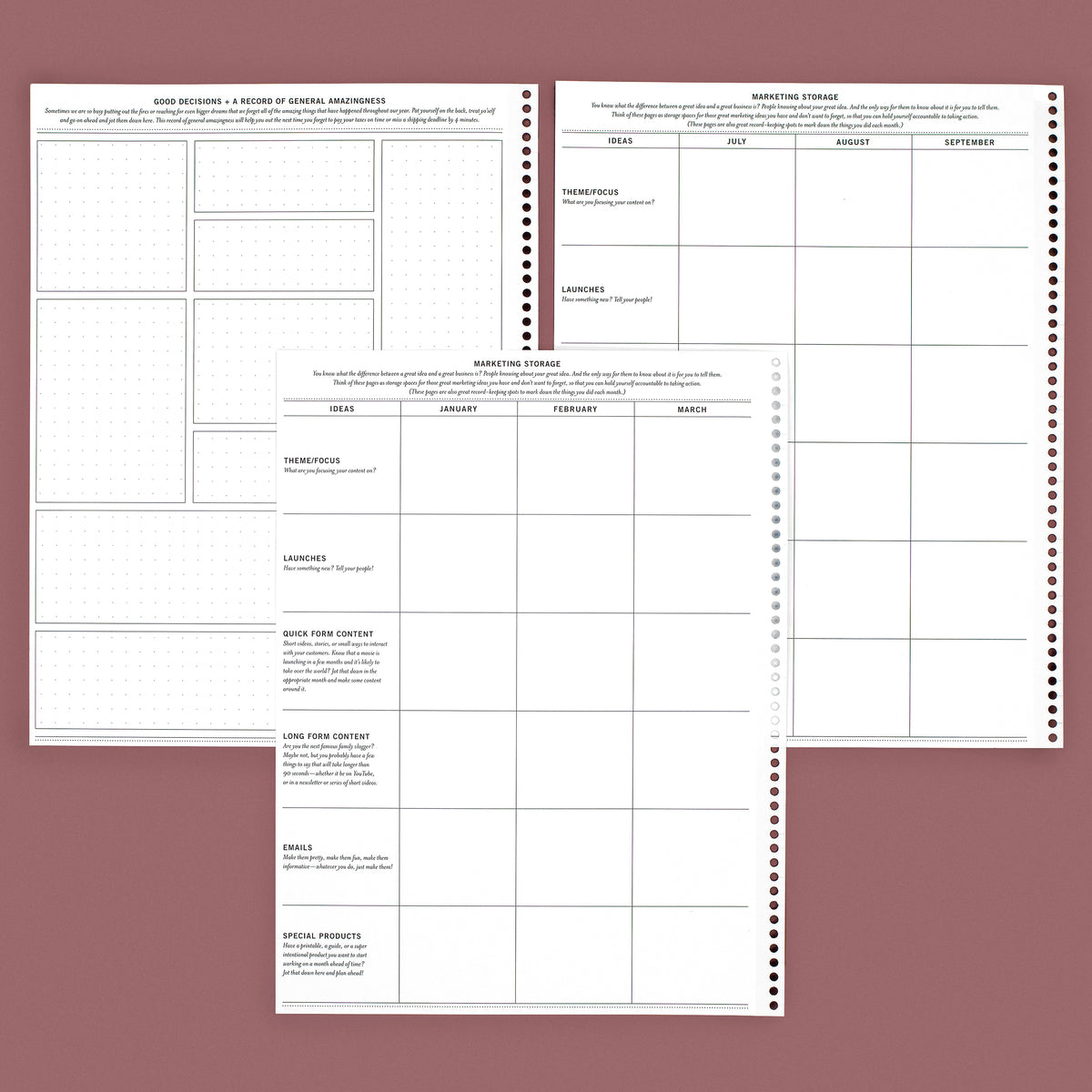 Booster Program Pages Planner Insert Pages – Laurel Denise Side Hustle Booster Planner ...