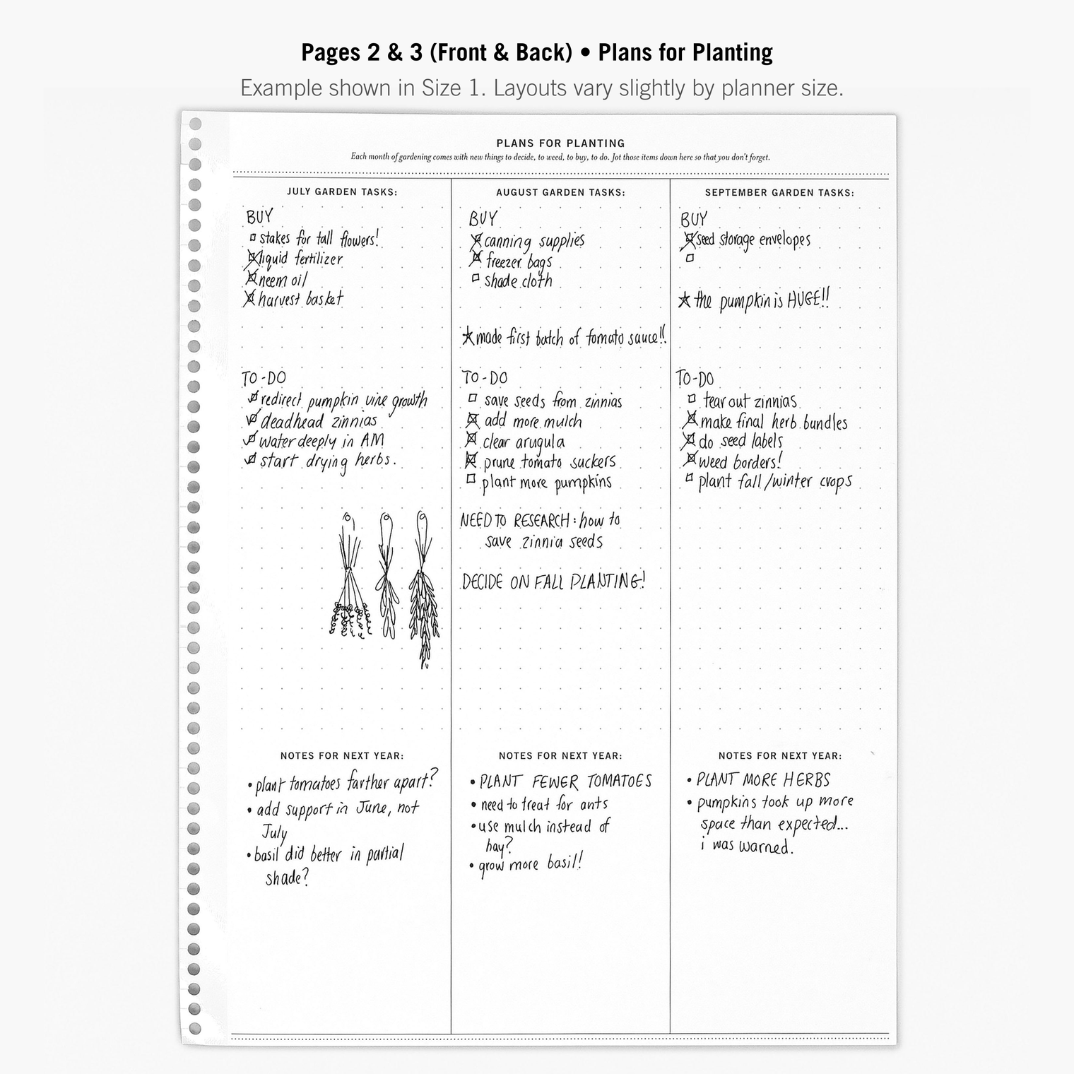 Pages 2 & 3