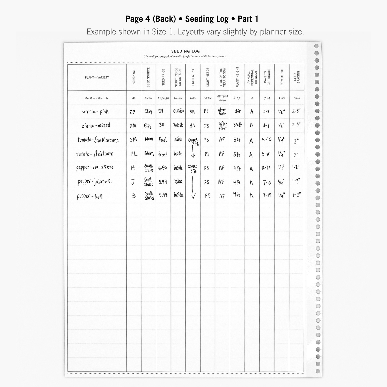 Page 4 (Back)
