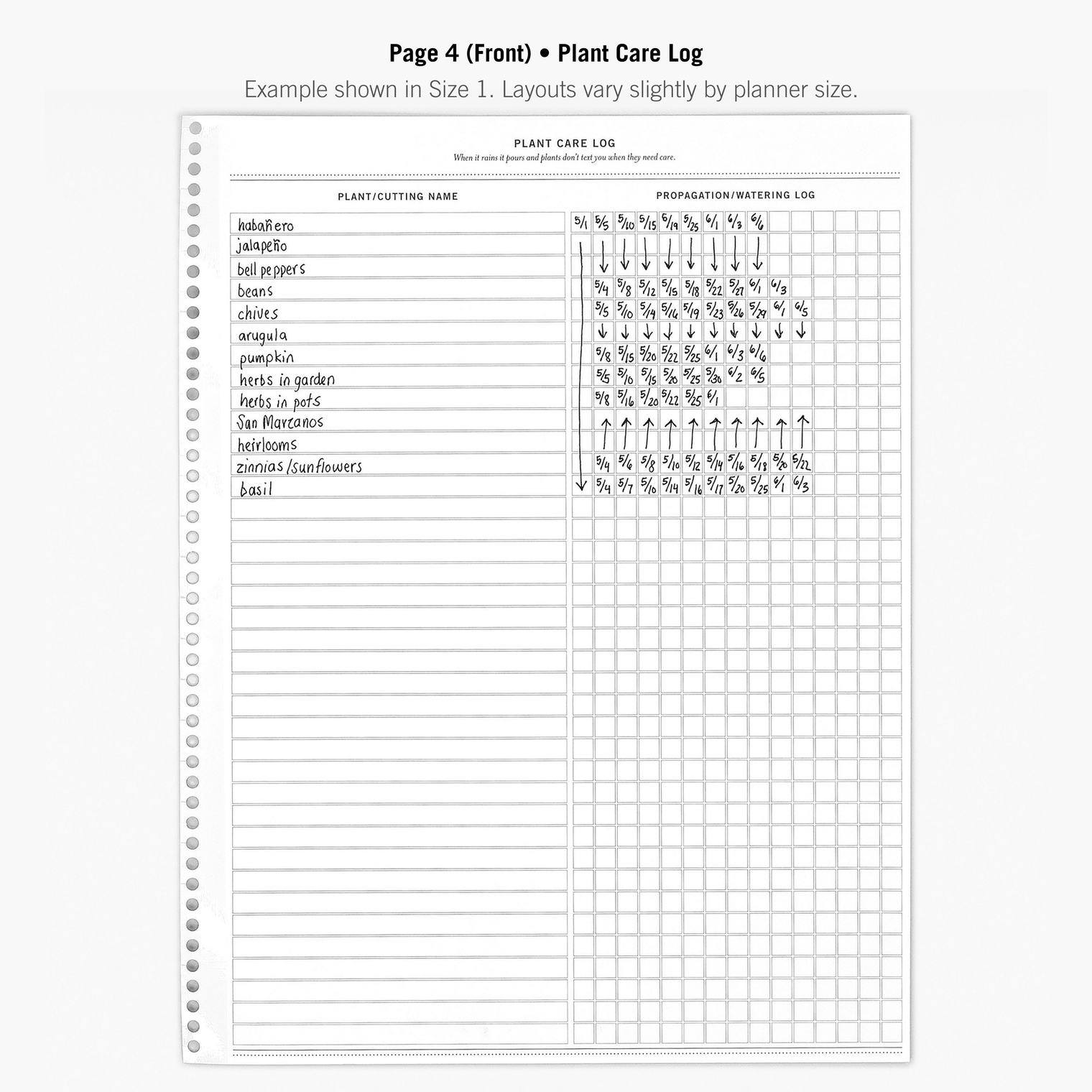 Page 4 (Front)