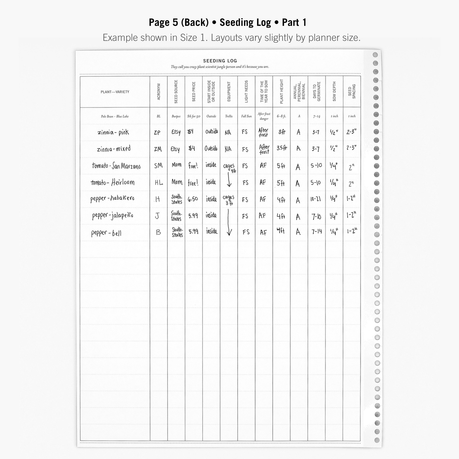 Page 5 (Back)