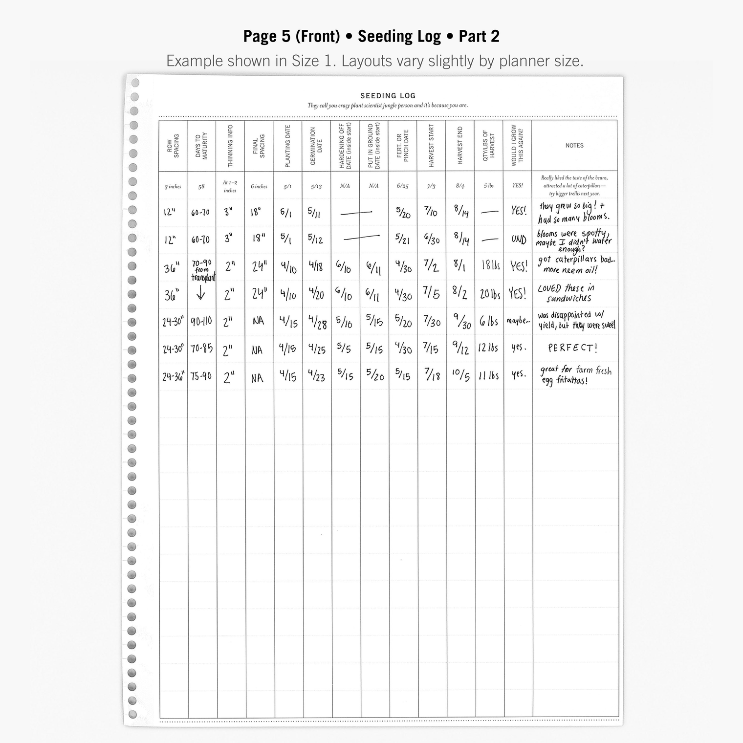 Page 5 (Front)
