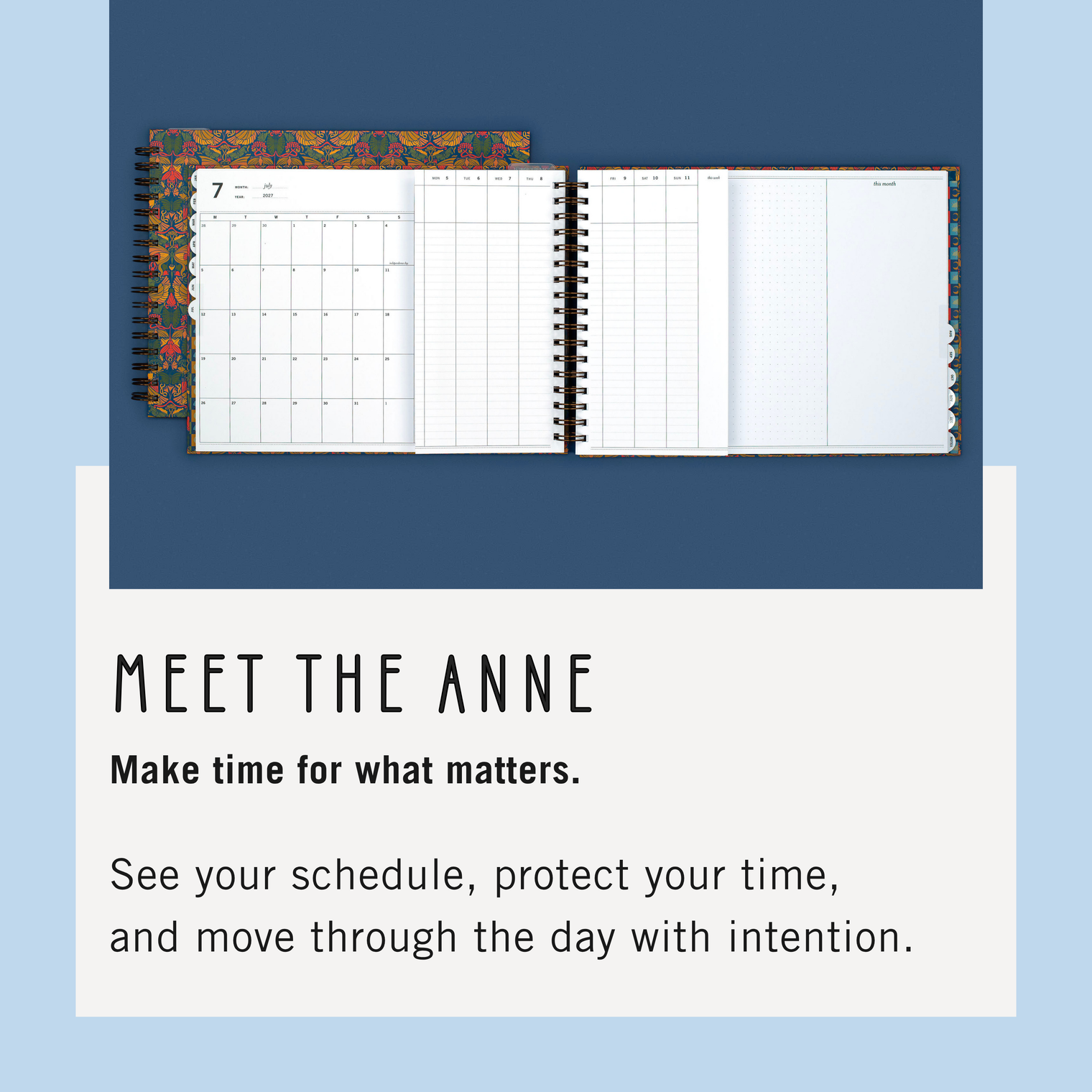 Meet The Anne