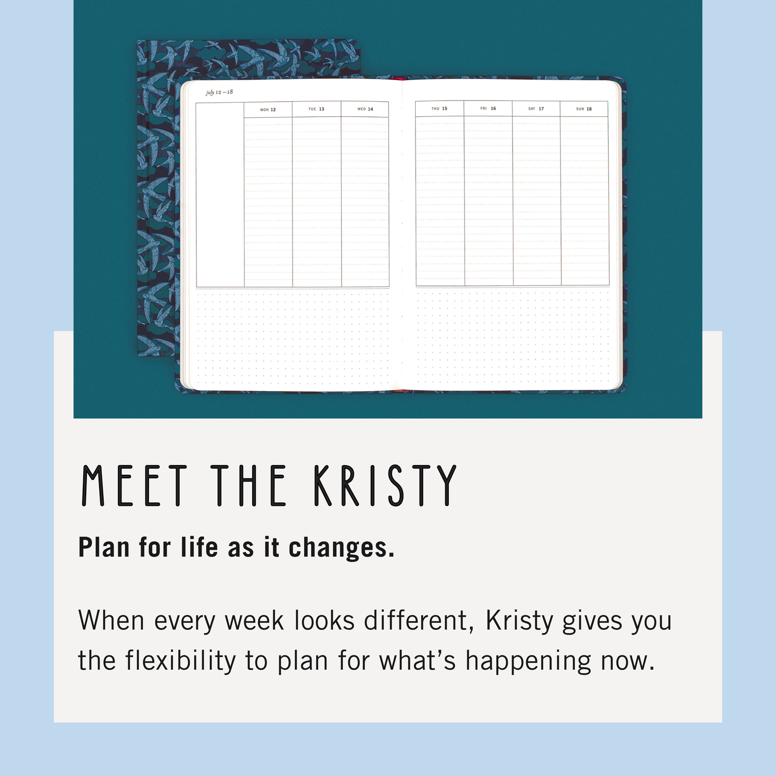 Meet The Kristy