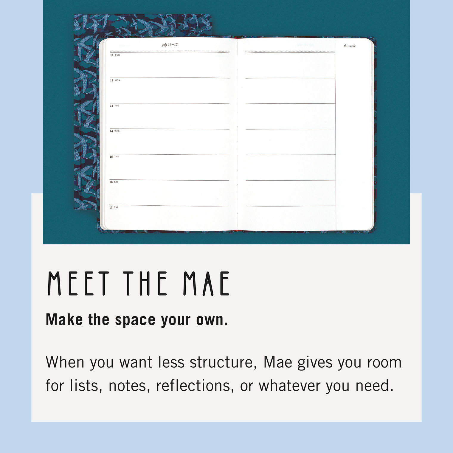 Meet The Mae