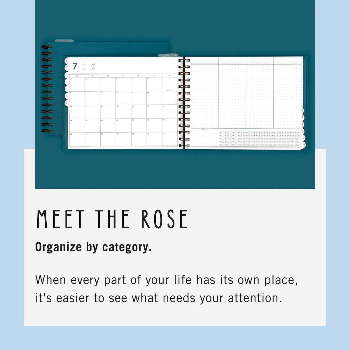 Meet The Rose