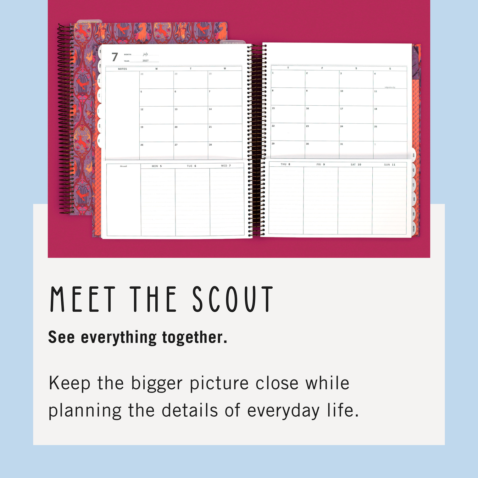 Meet The Scout
