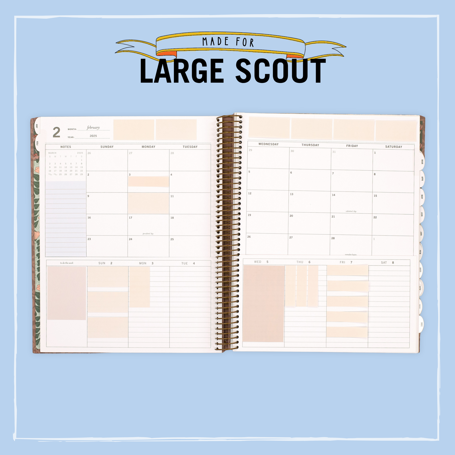 In Scout, Large