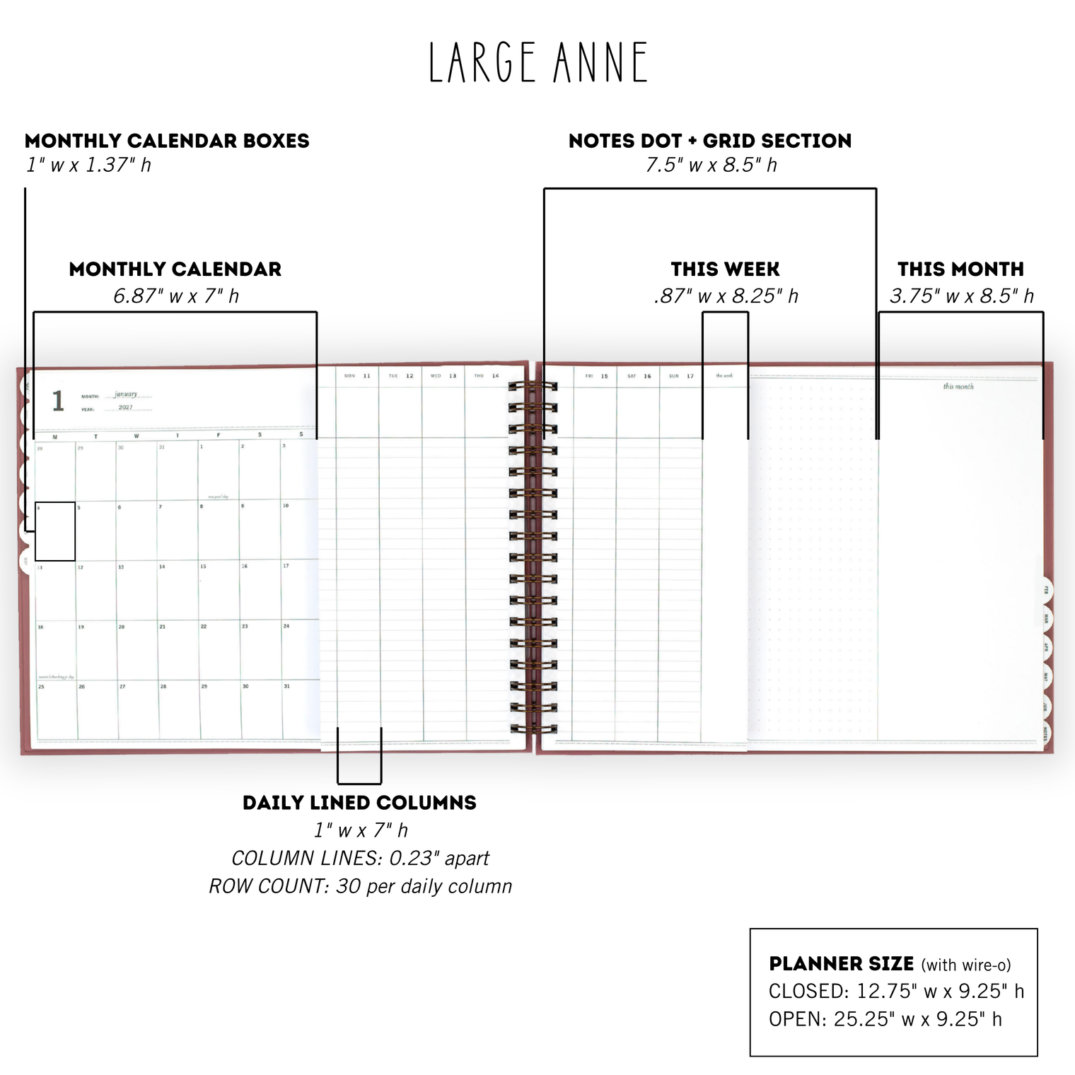 Measurements Large