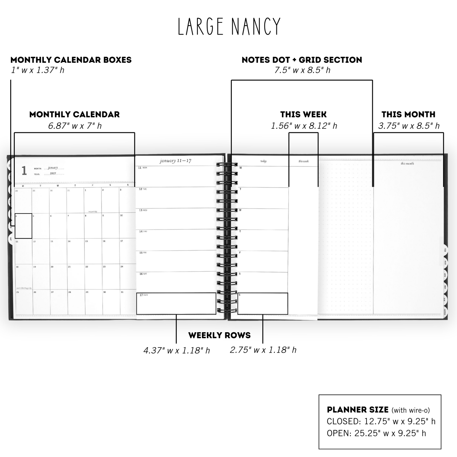 Measurements Large