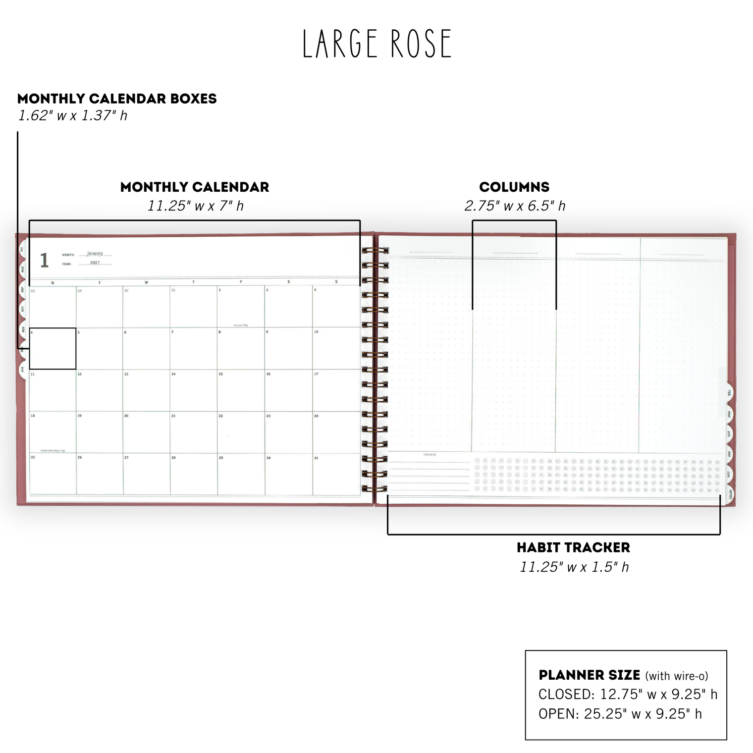 Measurements Large