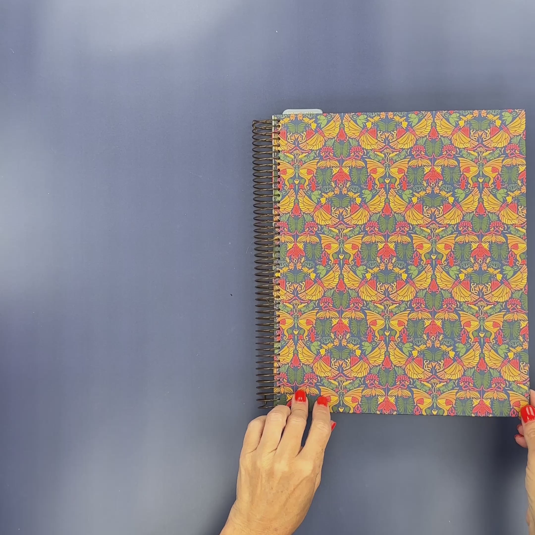 Flip-Through Video