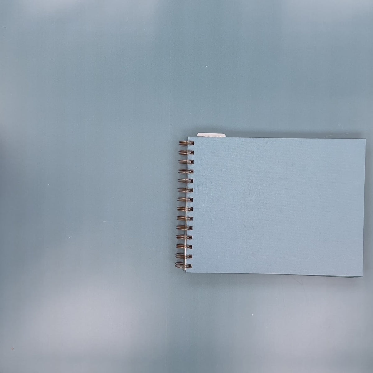 Flip-Through Video