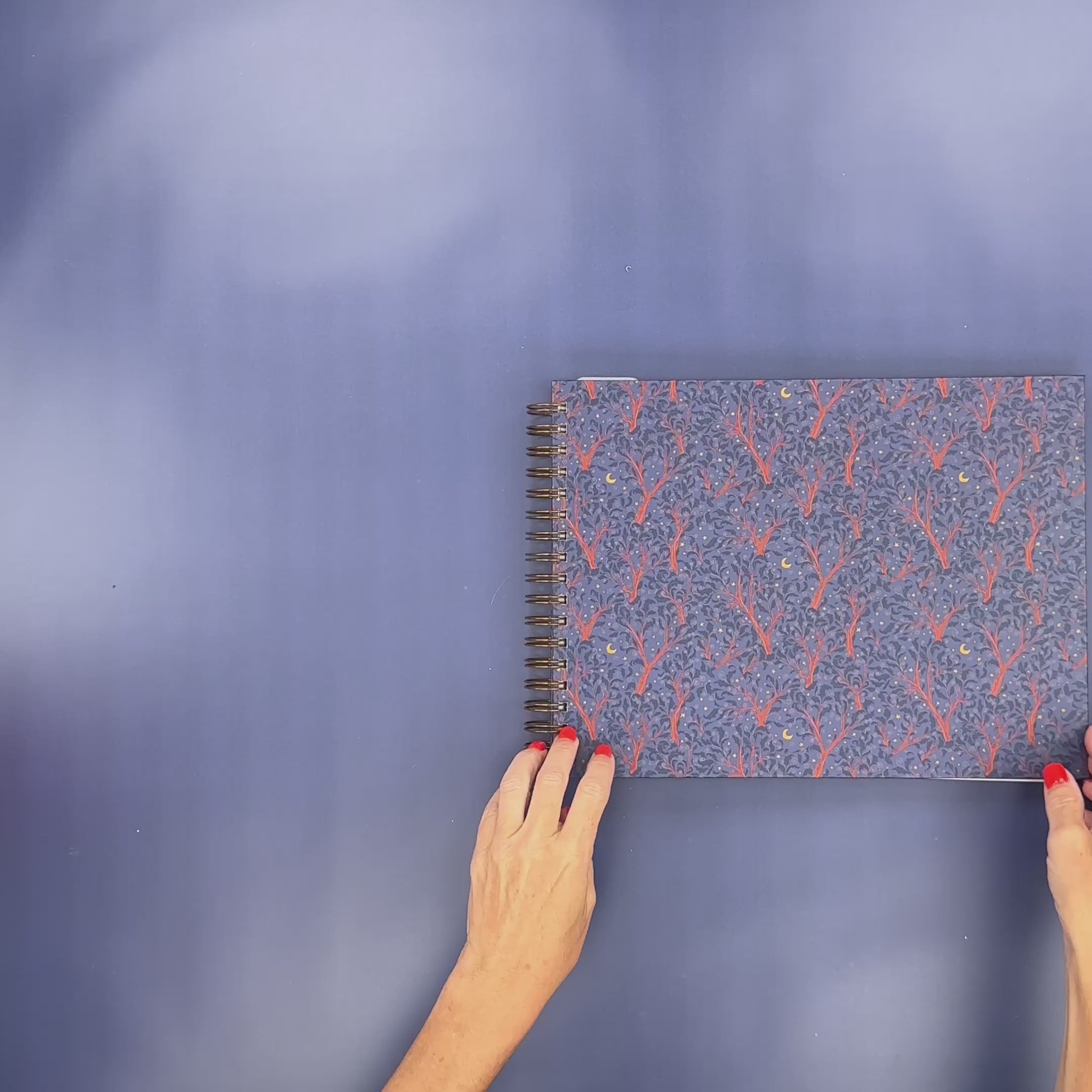 Flip-Through Video